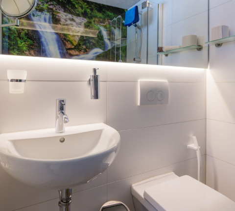 Dusche Hirschzimmer